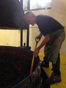 Grapes in the pressoir